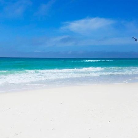 Laguna Beach Breeze Панама-Сити Экстерьер фото